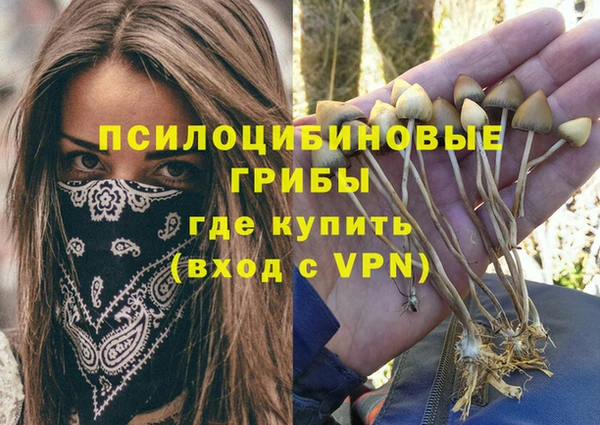 винт Белокуриха