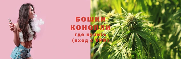 винт Белокуриха