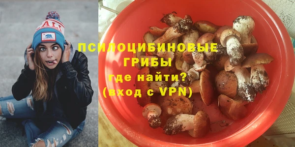 винт Белокуриха