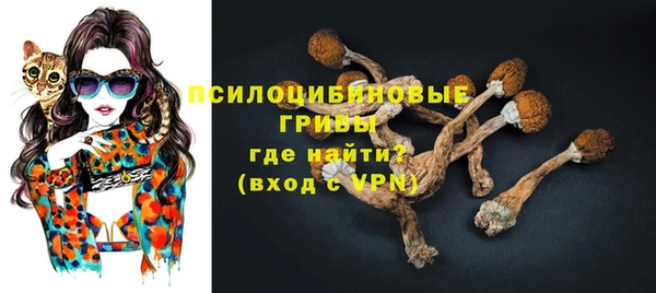 шишки Протвино